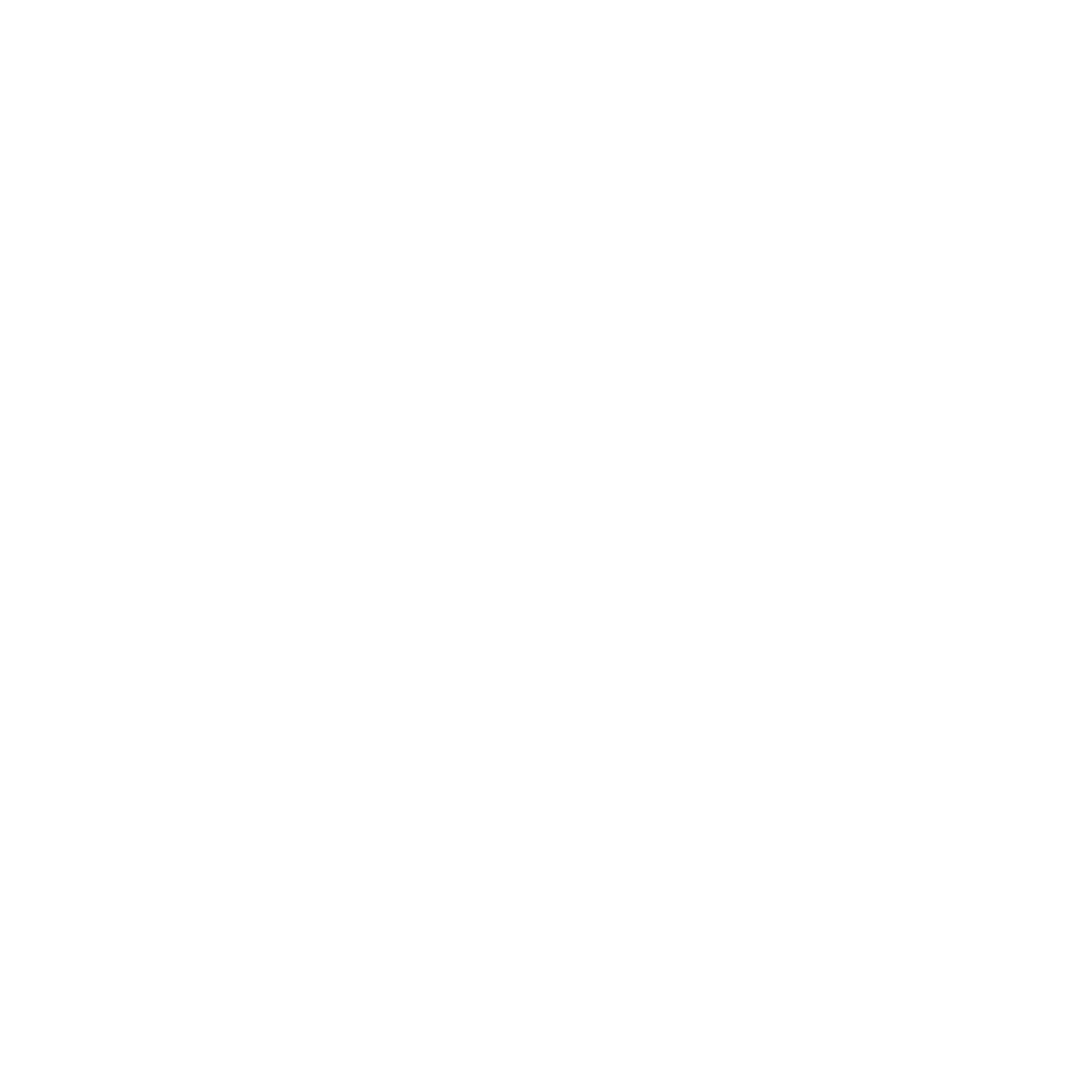 AmEx Logo White